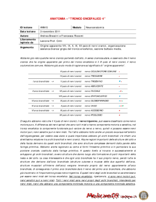 Ann15.tronco Encefalico 4